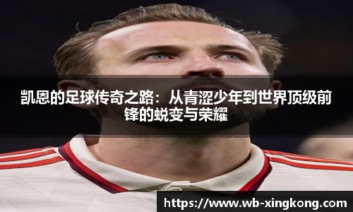 星空体育在线官网